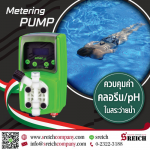 Solenoid metering pump.jpg